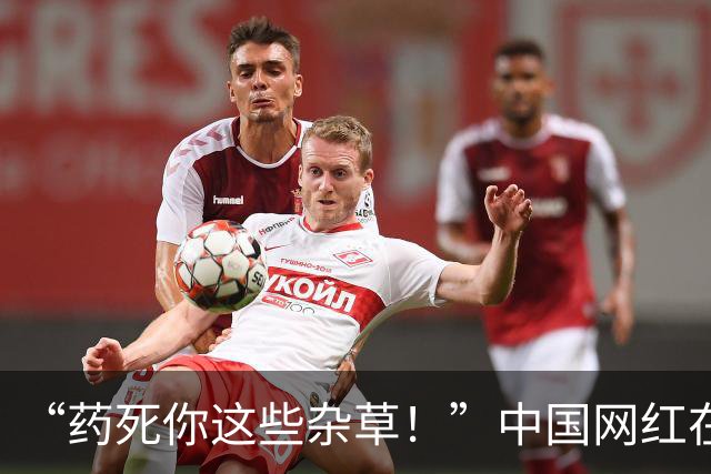 “药死你这些杂草！”中国网红在富士山脚狂喷不明液体，被抓包后说：这只是纯净水！