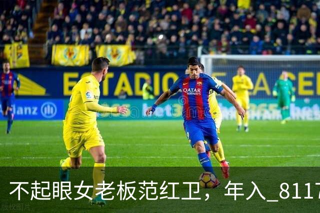 不起眼女老板范红卫，年入 8117 亿力压华为，坐稳民企第三靠什么