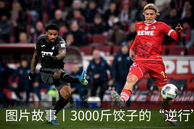图片故事丨3000斤饺子的“逆行”