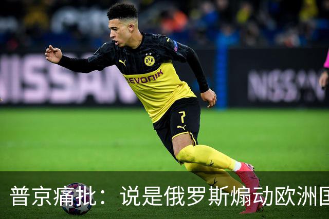 普京痛批：说是俄罗斯煽动欧洲国家骚乱“过分了”，不过也司空见惯了，反正俄罗斯一直都被指责犯下各种“滔天大罪”