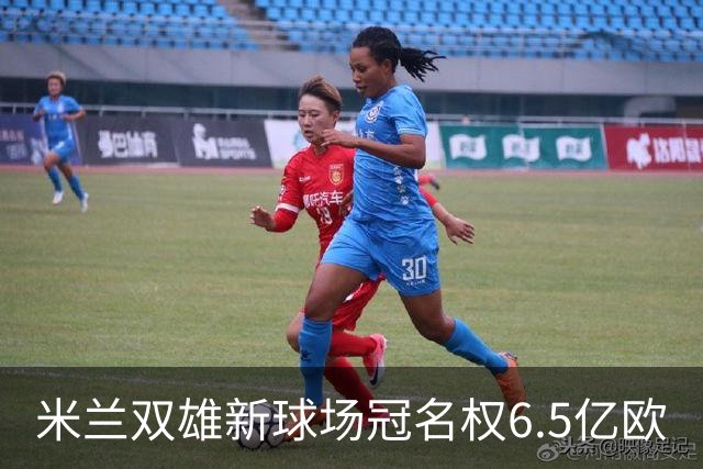 米兰双雄新球场冠名权6.5亿欧