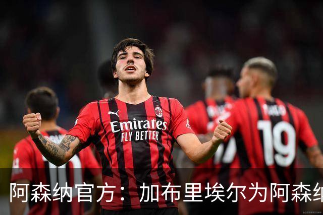 阿森纳官方：加布里埃尔为阿森纳完成200场英超出场