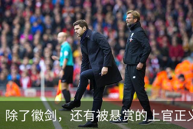除了徽剑，还有被悬赏的上官正义也该被看见！