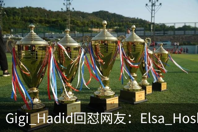 Gigi Hadid回怼网友：Elsa Hosk这场秀被低估了